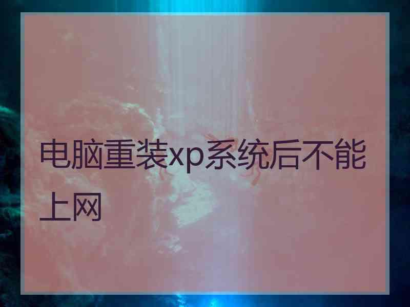 电脑重装xp系统后不能上网