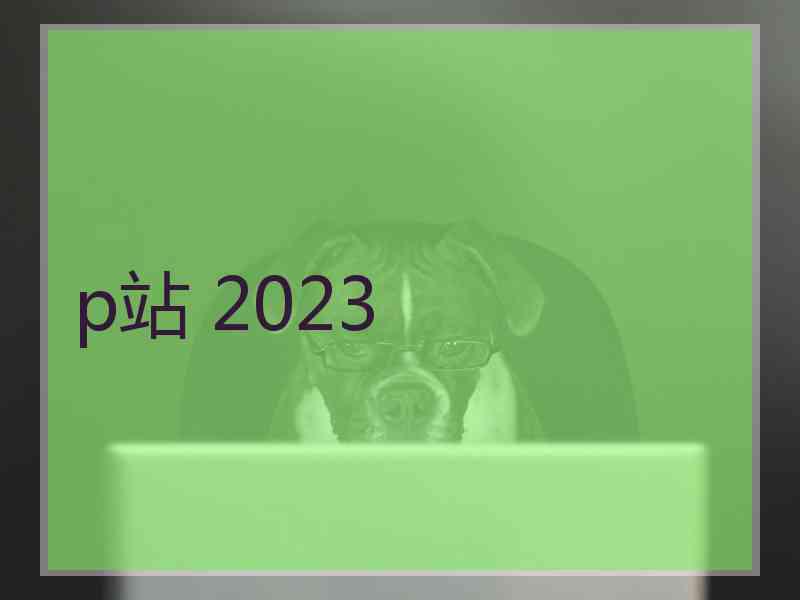 p站 2023