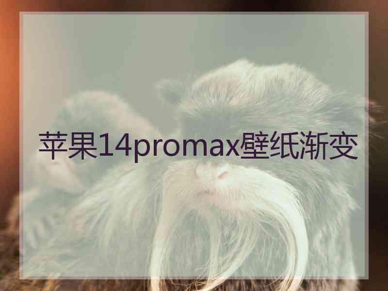 苹果14promax壁纸渐变