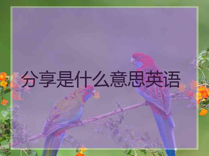 分享是什么意思英语