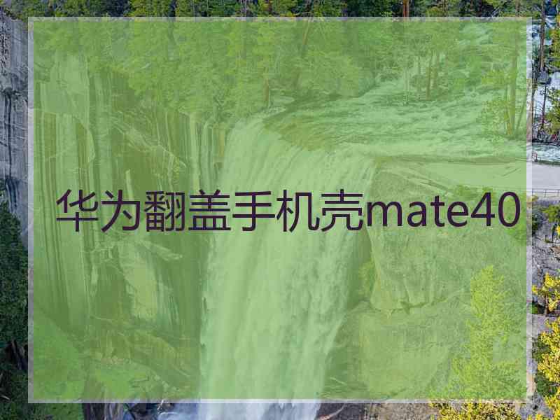 华为翻盖手机壳mate40