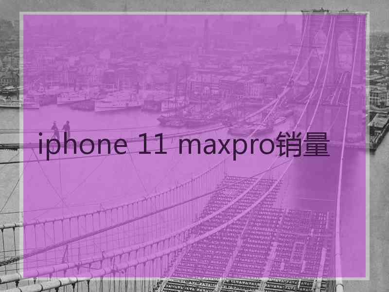 iphone 11 maxpro销量