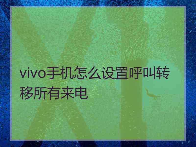 vivo手机怎么设置呼叫转移所有来电