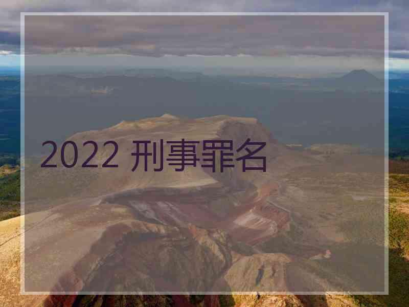 2022 刑事罪名