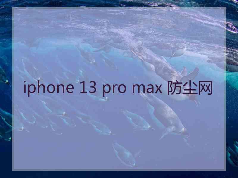 iphone 13 pro max 防尘网