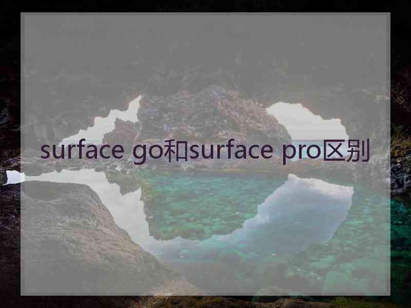 surface go和surface pro区别