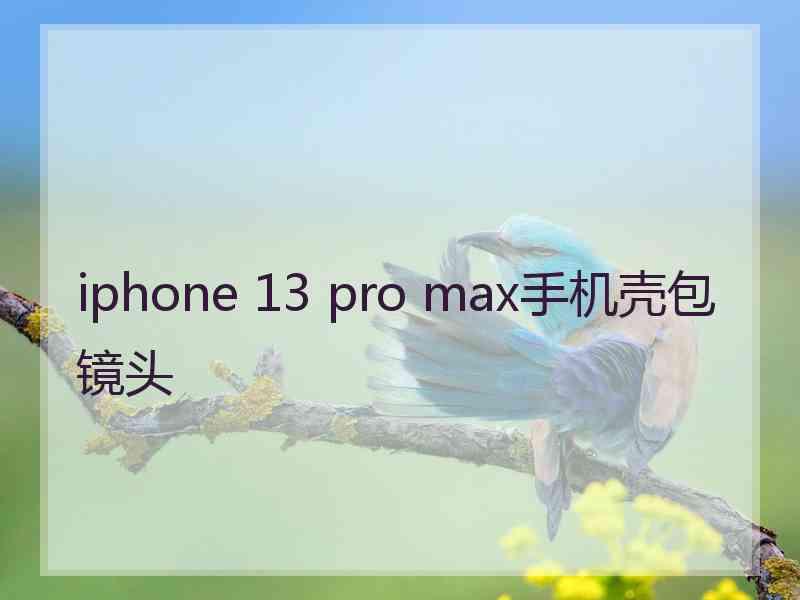 iphone 13 pro max手机壳包镜头