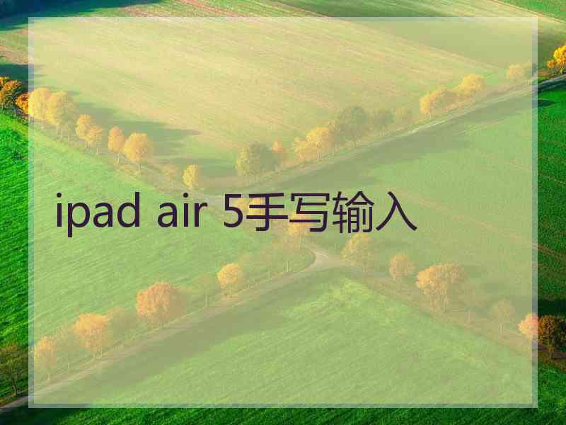 ipad air 5手写输入