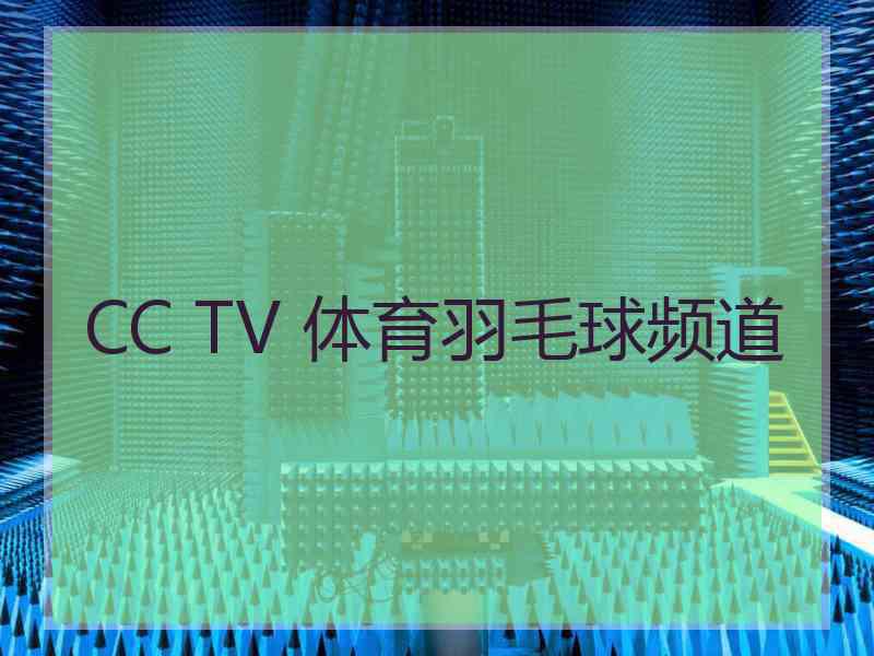 CC TV 体育羽毛球频道