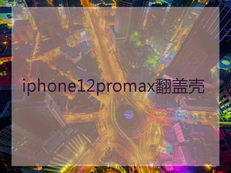 iphone12promax翻盖壳