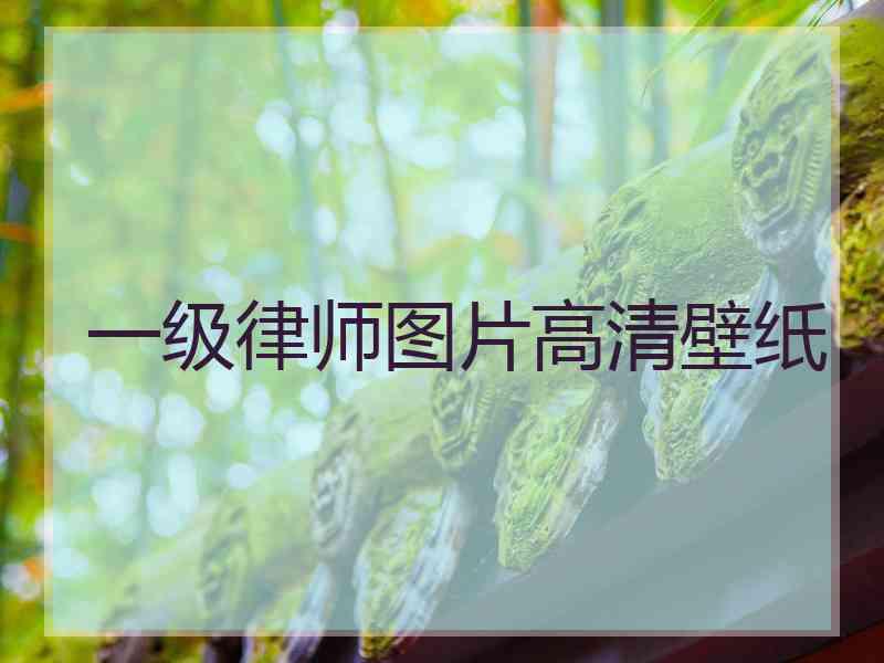 一级律师图片高清壁纸