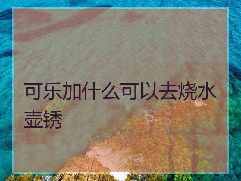 可乐加什么可以去烧水壶锈