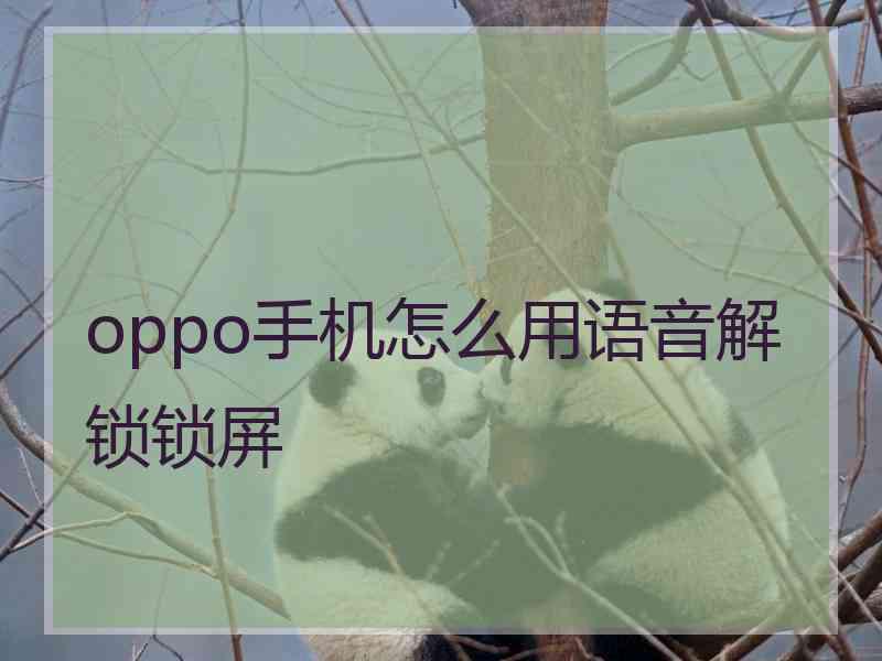 oppo手机怎么用语音解锁锁屏