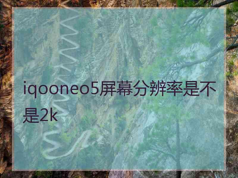 iqooneo5屏幕分辨率是不是2k