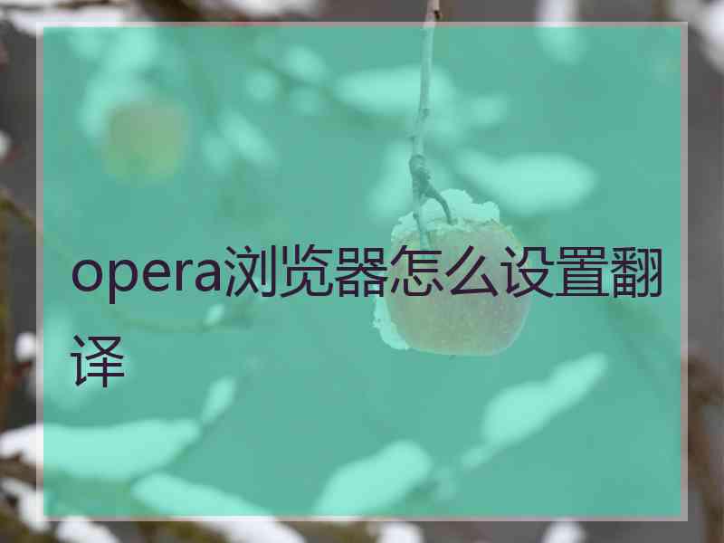 opera浏览器怎么设置翻译