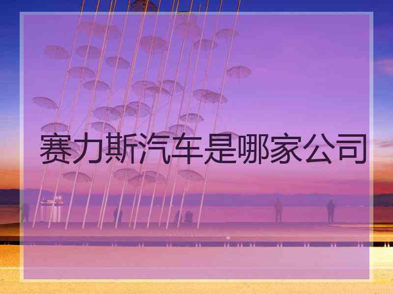 赛力斯汽车是哪家公司