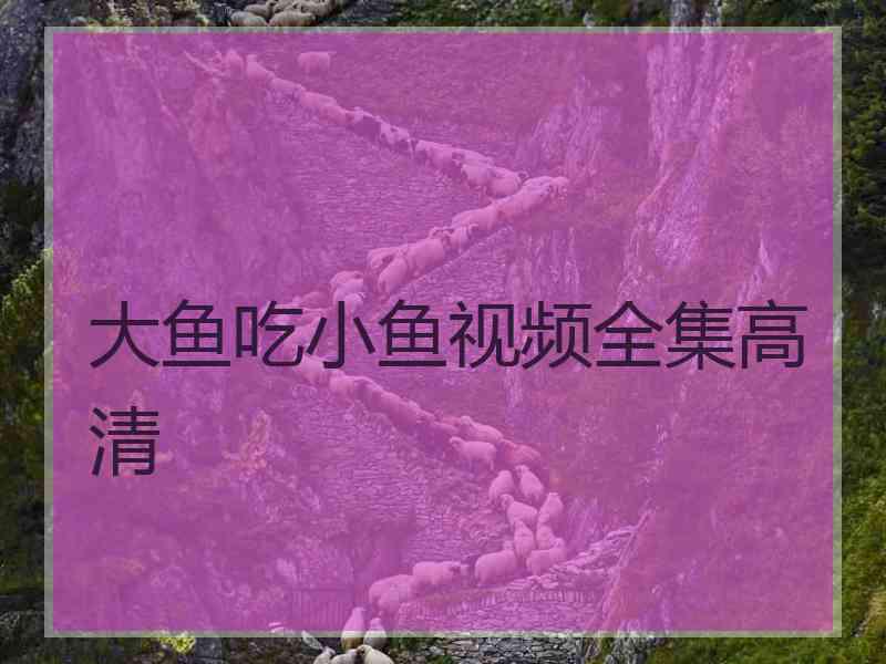 大鱼吃小鱼视频全集高清