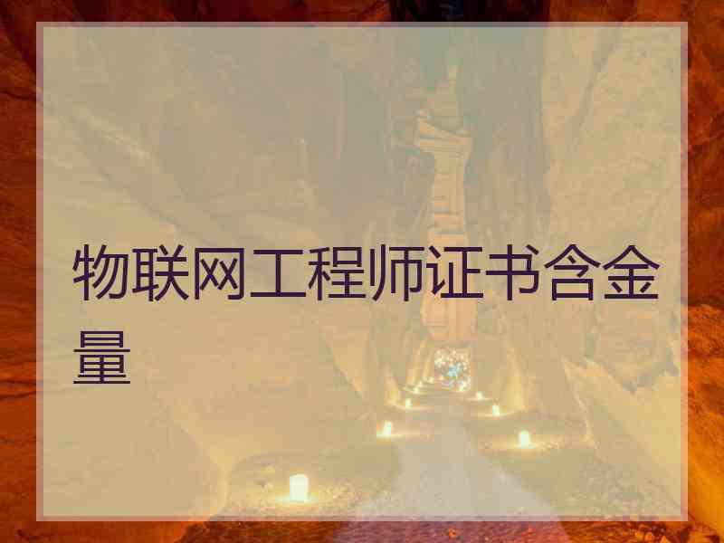 物联网工程师证书含金量