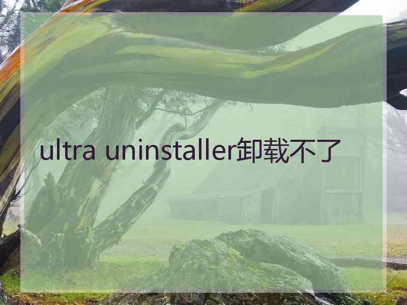 ultra uninstaller卸载不了