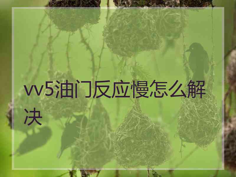 vv5油门反应慢怎么解决