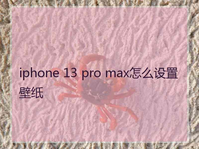 iphone 13 pro max怎么设置壁纸