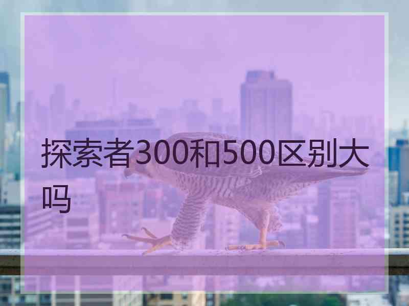 探索者300和500区别大吗