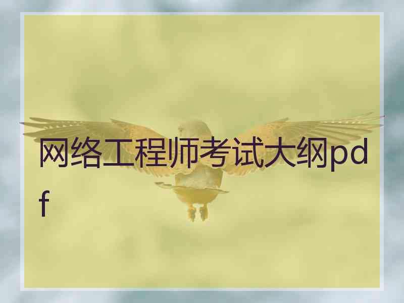 网络工程师考试大纲pdf