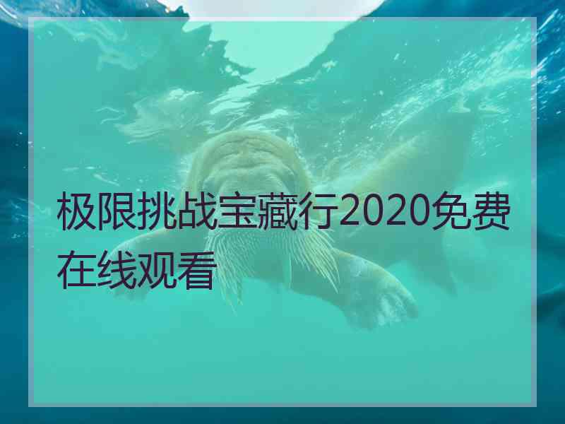 极限挑战宝藏行2020免费在线观看