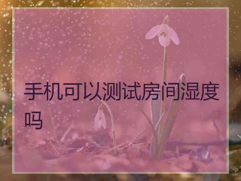 手机可以测试房间湿度吗