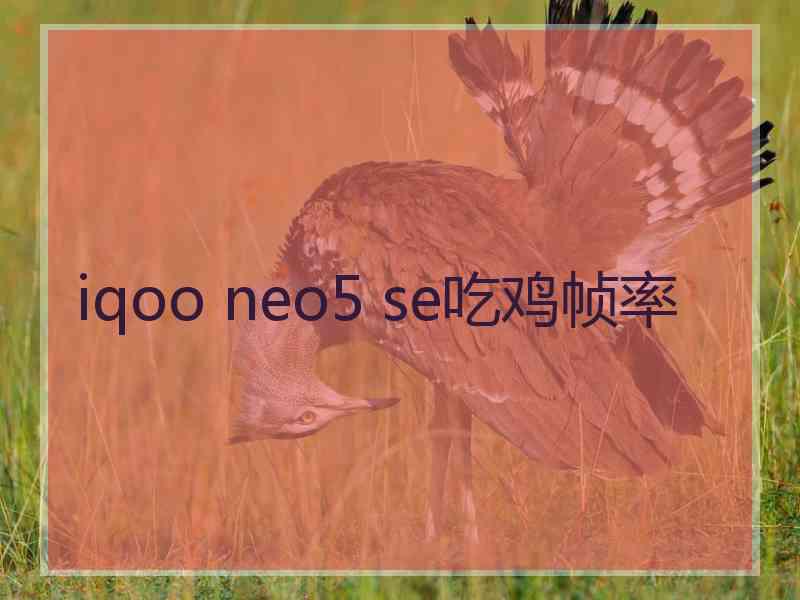 iqoo neo5 se吃鸡帧率