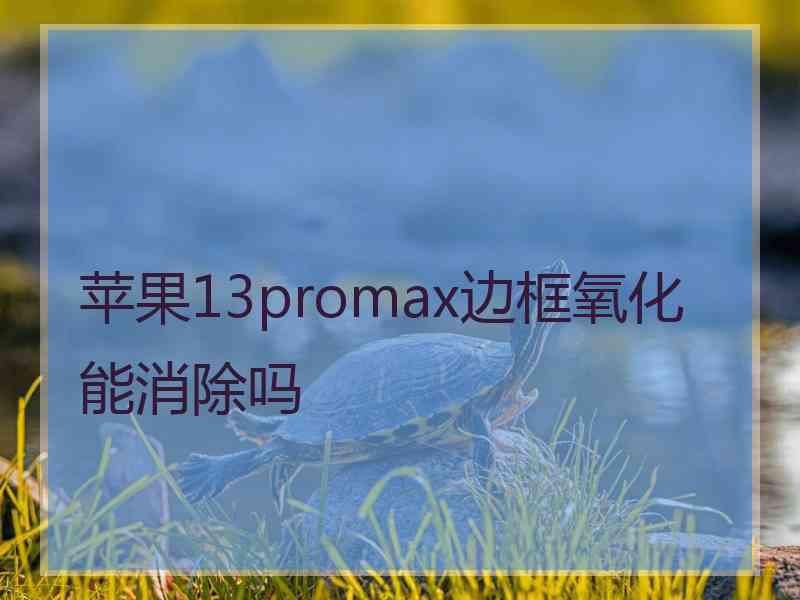 苹果13promax边框氧化能消除吗