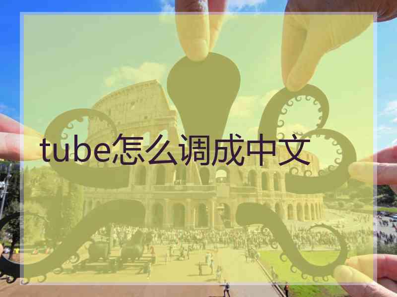 tube怎么调成中文