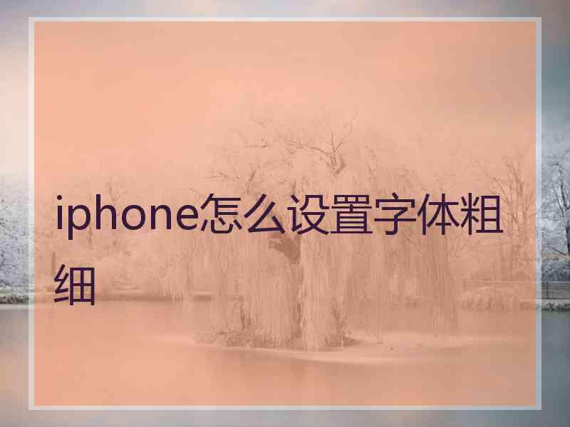 iphone怎么设置字体粗细