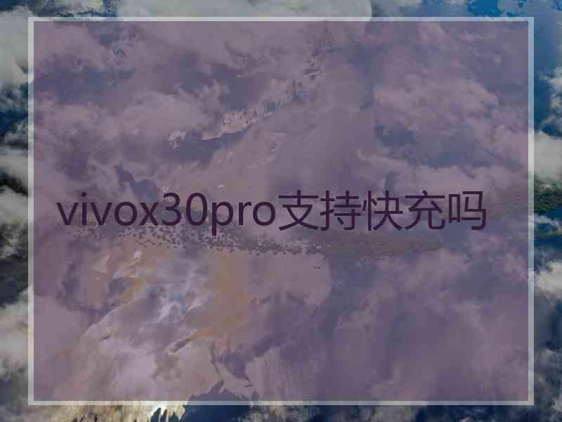 vivox30pro支持快充吗