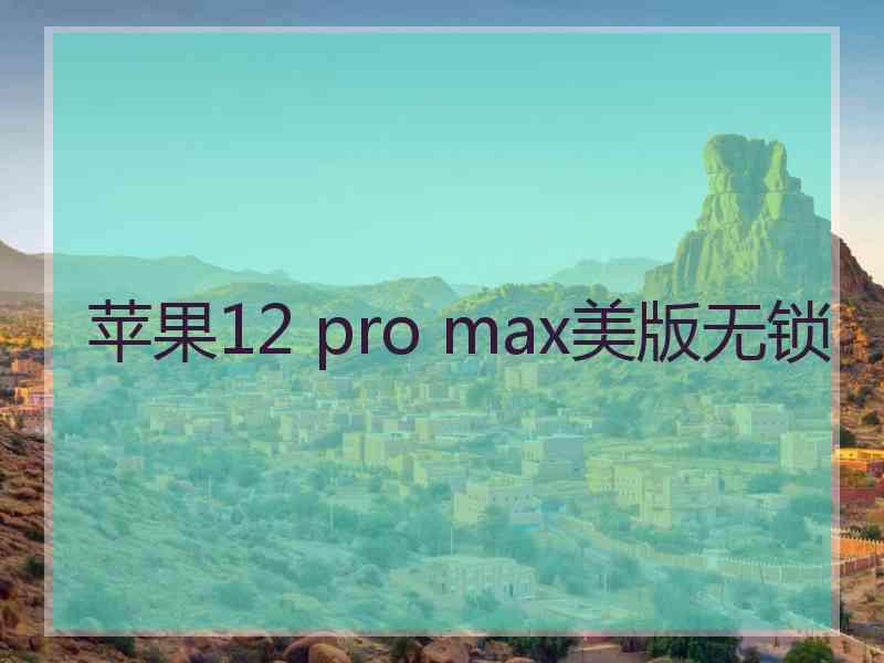 苹果12 pro max美版无锁