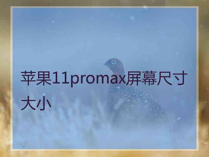 苹果11promax屏幕尺寸大小