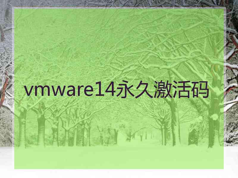 vmware14永久激活码