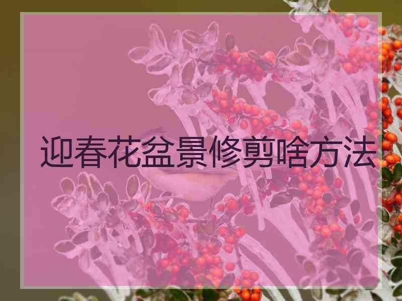 迎春花盆景修剪啥方法