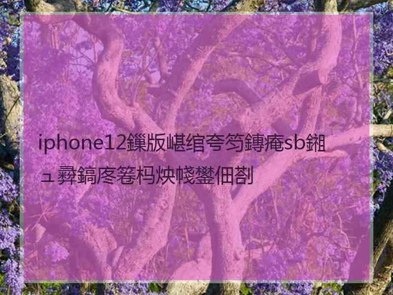 iphone12鏁版嵁绾夸笉鏄痷sb鎺ュ彛鎬庝箞杩炴帴鐢佃剳