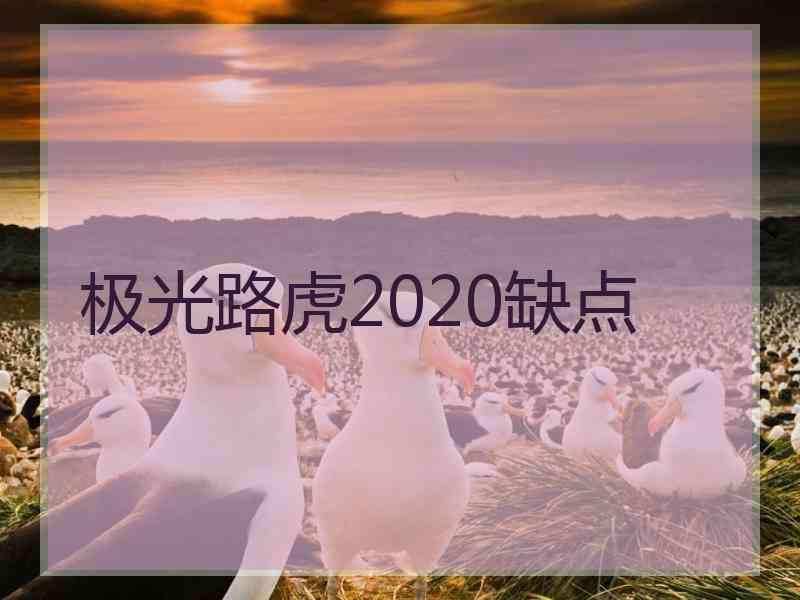 极光路虎2020缺点