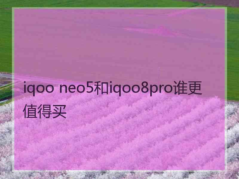 iqoo neo5和iqoo8pro谁更值得买