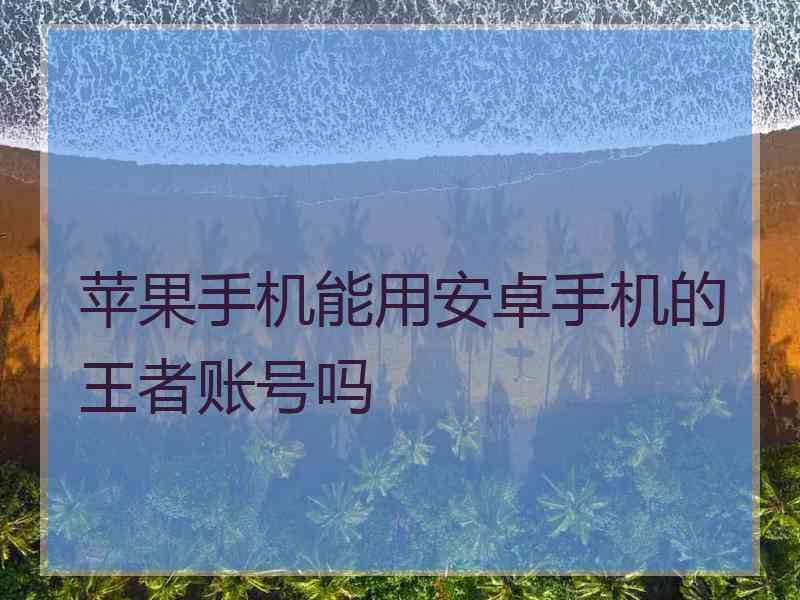 苹果手机能用安卓手机的王者账号吗