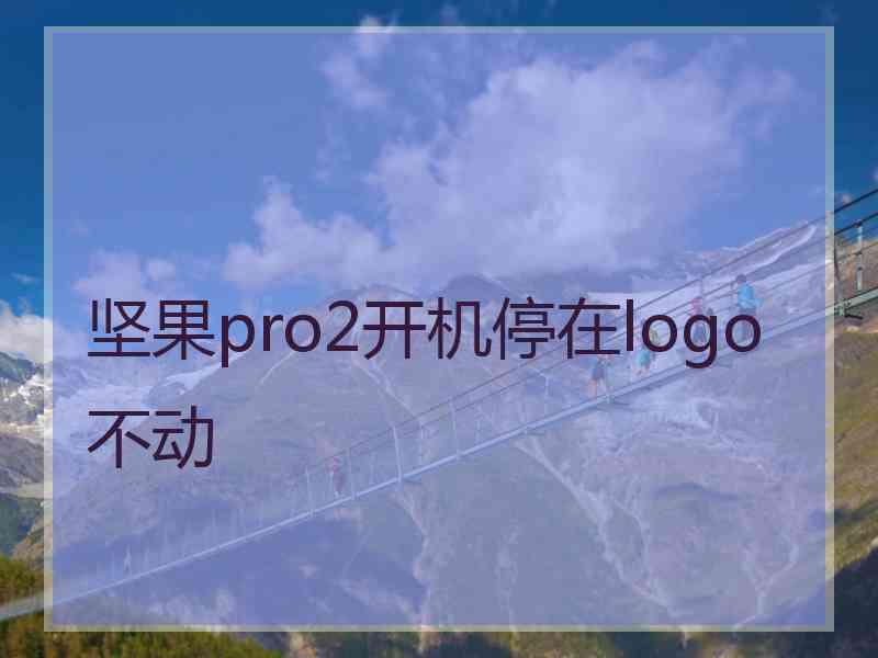 坚果pro2开机停在logo不动