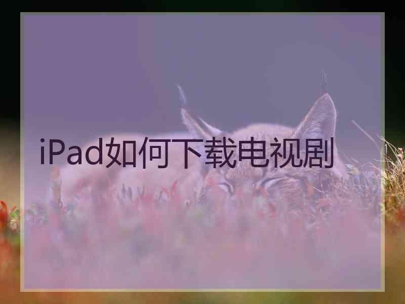 iPad如何下载电视剧