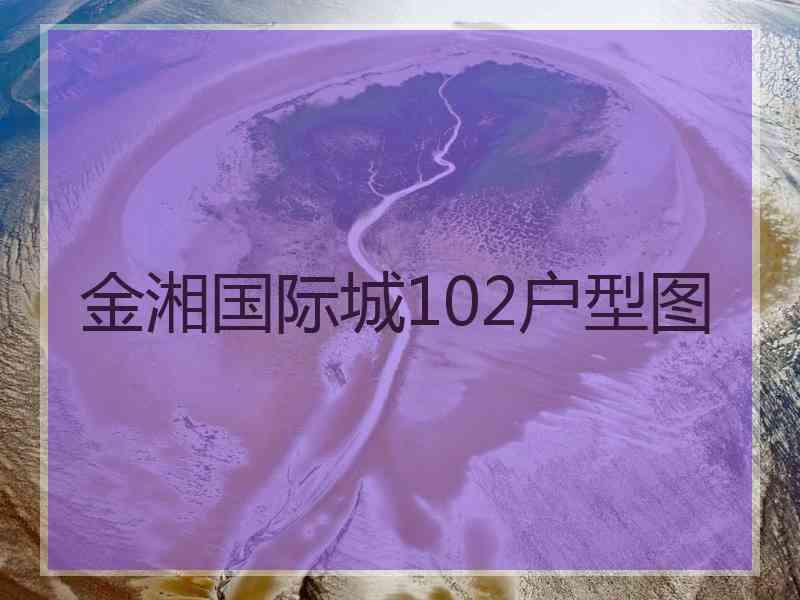 金湘国际城102户型图