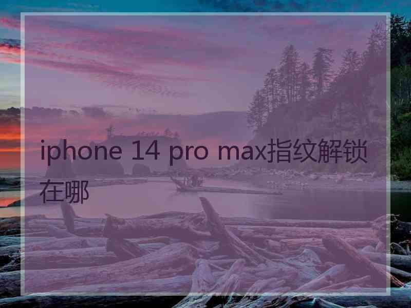 iphone 14 pro max指纹解锁在哪