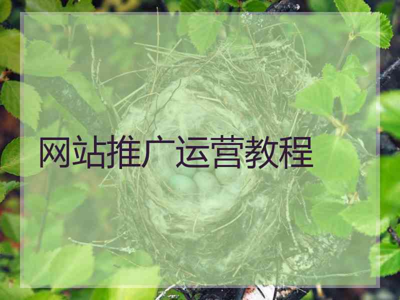 网站推广运营教程