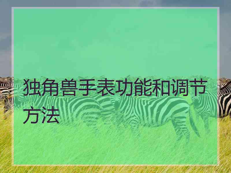 独角兽手表功能和调节方法