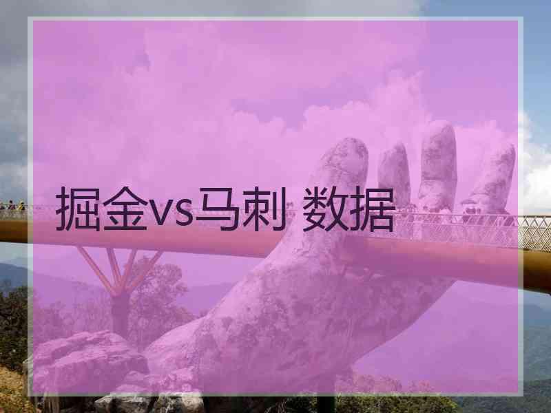 掘金vs马刺 数据