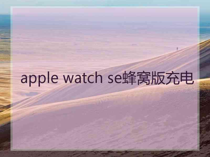 apple watch se蜂窝版充电